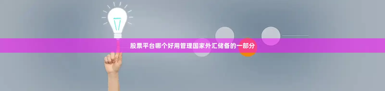 股票平台哪个好用管理国家外汇储备的一部分
